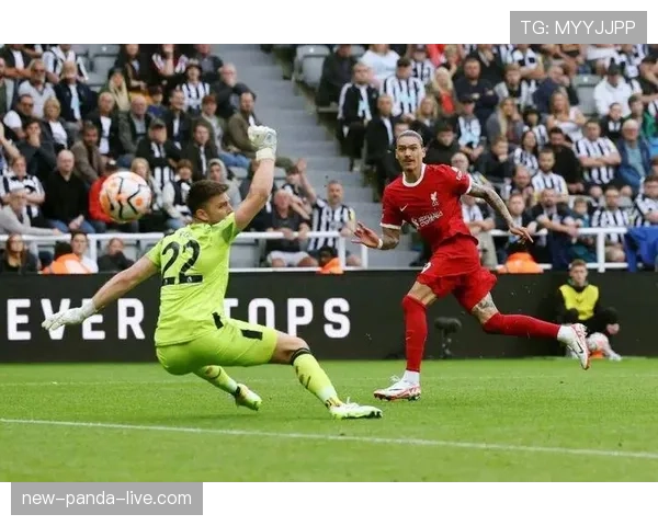 努涅斯的战术适配困境：体系限制还是角色错配？