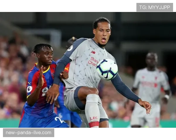 内斯塔与范迪克防守覆盖模式的体系驱动差异与演化路径