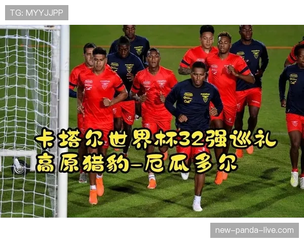 厄瓜多尔2026世界杯黑马潜力解析：高原雄鹰能否复刻卡塔尔奇迹