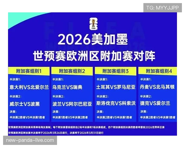 2026世界杯完整版排名筛选解析